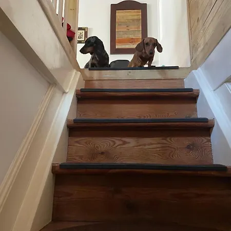 Zabytkowy Dom W Podkowie Lesnej