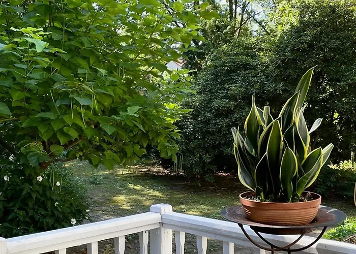 Zabytkowy Dom W Podkowie Lesnej Villa Podkowa Lesna